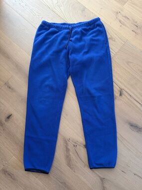 Patagonia Cobalt Blue Men's Fleece Joggers